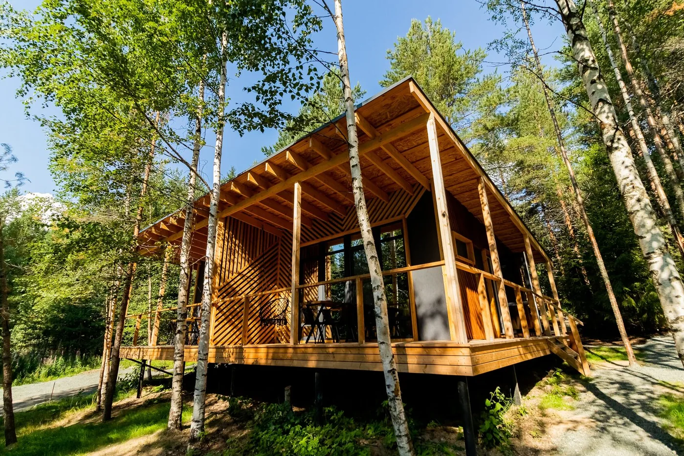 Номер «Берёзовая роща»